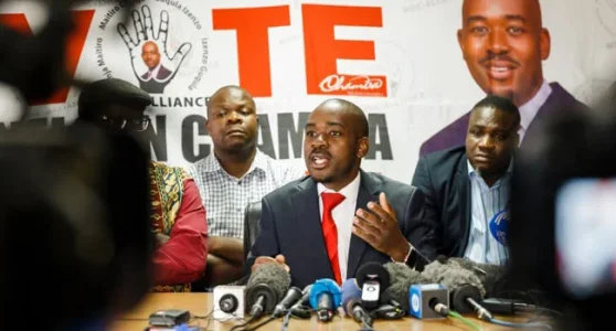 Channels Television-Nelson Chamisa.jpg Channels Television-Nelson Chamisa.jpg