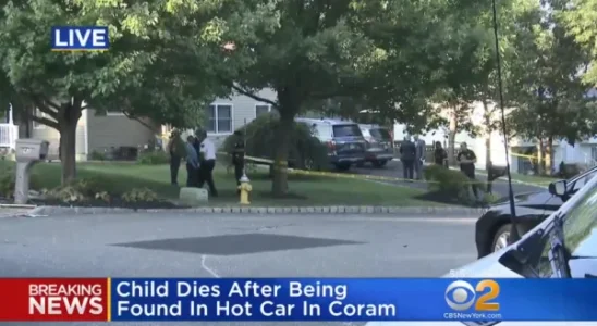 girl dies.png girl dies.png