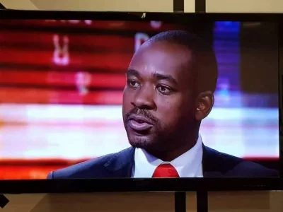 Nelson Chamisa.jpeg