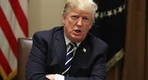 Punch newspaper-Donald trump.jpg Punch newspaper-Donald trump.jpg