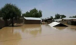The Guardian Nigeria Newspaper-kano Flood.jpg The Guardian Nigeria Newspaper-kano Flood.jpg