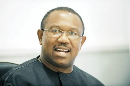 Daily Post Nigeria-Peter Obi.jpg Daily Post Nigeria-Peter Obi.jpg