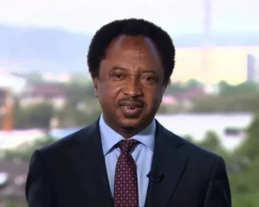 Today.ng News-Senator Shehu Sani.jpg Today.ng News-Senator Shehu Sani.jpg