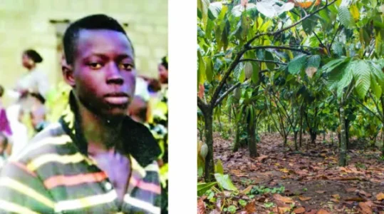 Adeleke Adewusi.jpg Adeleke Adewusi.jpg