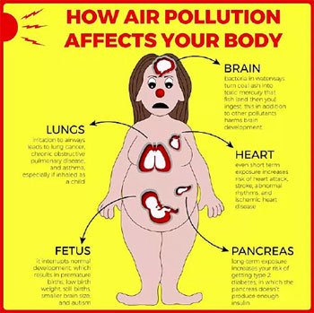 pollution-body.jpg