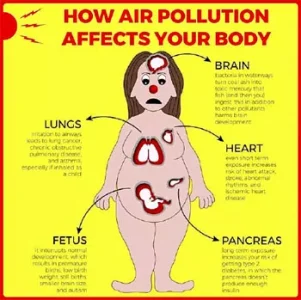 pollution-body.jpg pollution-body.jpg