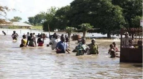 flood kebbi.JPG flood kebbi.JPG
