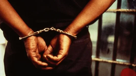 Daily Post Nigeria-arrested.jpg Daily Post Nigeria-arrested.jpg