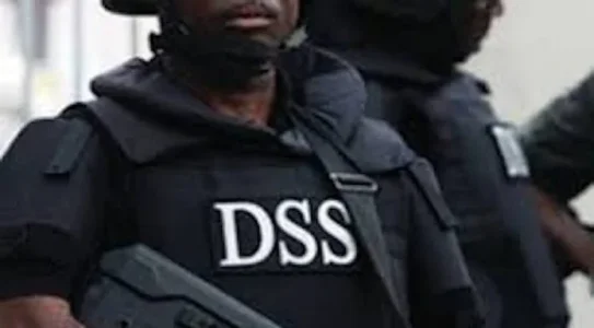 Thisdaylive Newspaper-DSS.jpg Thisdaylive Newspaper-DSS.jpg