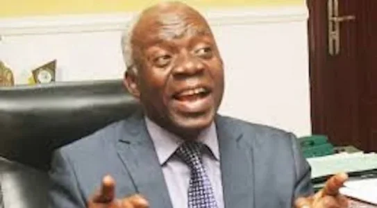femi-falana.jpg femi-falana.jpg