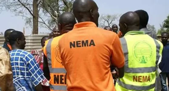 NEMA.jpg NEMA.jpg