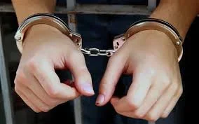Punch Newspapers-Arrested.jpg Punch Newspapers-Arrested.jpg