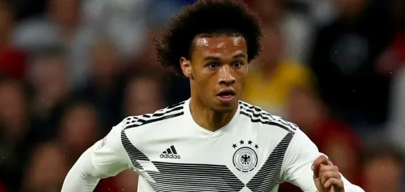 sane.JPG sane.JPG