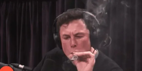 musk.JPG musk.JPG