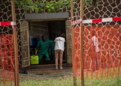 Ebola virus.jpg Ebola virus.jpg