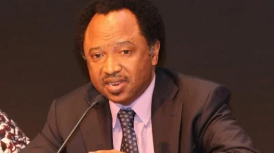 nairaland News- Shehu Sani.jpg nairaland News- Shehu Sani.jpg