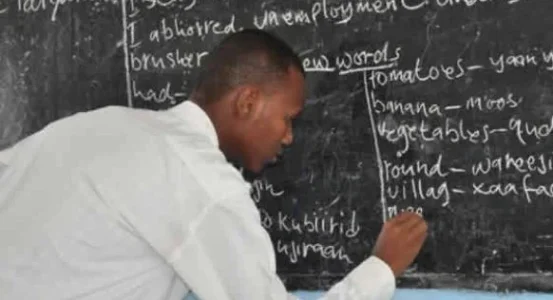 teacher.JPG teacher.JPG