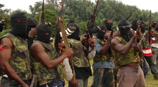 niger-delta-avengers.jpg niger-delta-avengers.jpg