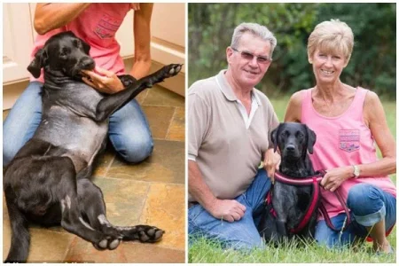 Laila’s Blog- Couple-spends-£12000-N5.6million-to-save-dog-lottie.jpg Laila’s Blog- Couple-spends-£12000-N5.6million-to-save-dog-lottie.jpg