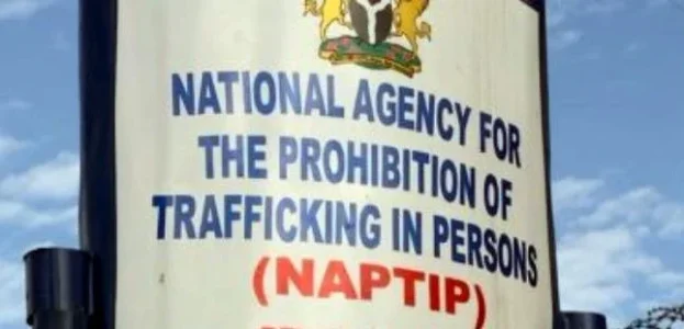 NAPTIP.jpg NAPTIP.jpg