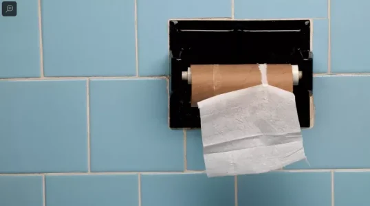 poop2.PNG poop2.PNG