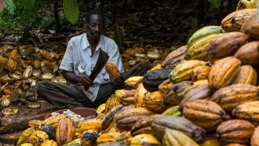 cocoa-farmer.jpg cocoa-farmer.jpg