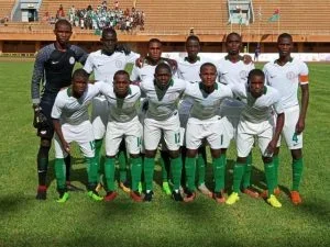Eaglets-in-Niger.jpg Eaglets-in-Niger.jpg