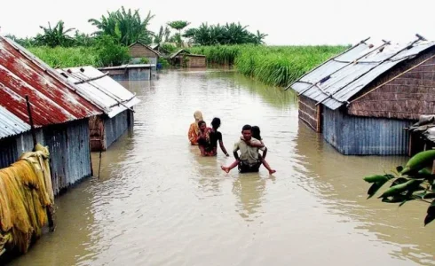 flood.jpg flood.jpg
