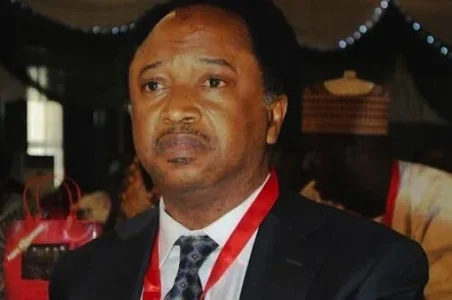 Senator-Shehu-Sani.jpg Senator-Shehu-Sani.jpg