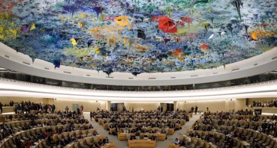 Channels television-UN-Human-Rights-Council.jpg Channels television-UN-Human-Rights-Council.jpg