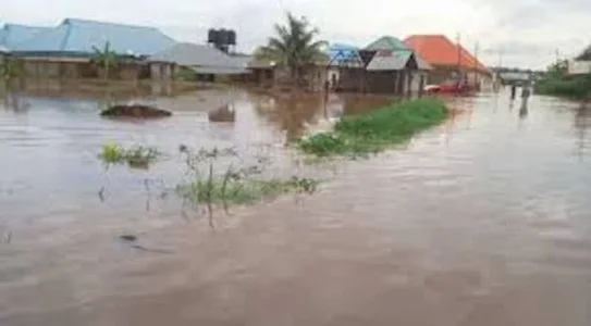Flood.jpg Flood.jpg