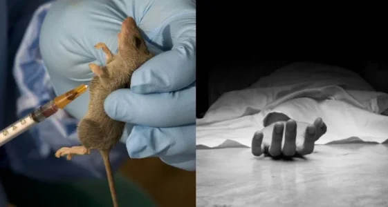 Lassa-fever-in-Delta-lailasnews.jpg Lassa-fever-in-Delta-lailasnews.jpg