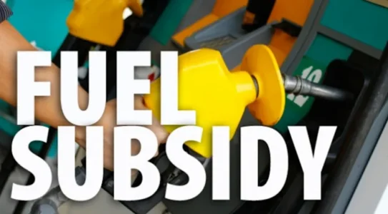 Thisdaylive Newspaper--fuel-subsidy.png Thisdaylive Newspaper--fuel-subsidy.png
