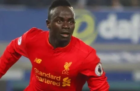 mane.JPG mane.JPG