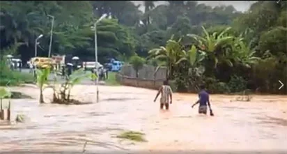 flood.jpg flood.jpg