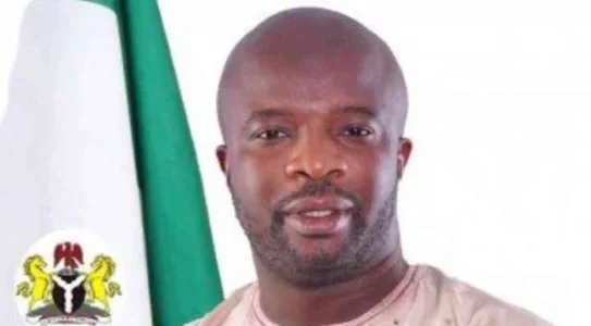 Thisdaylive Newspaper-Hon Tony Nwulu.jpg Thisdaylive Newspaper-Hon Tony Nwulu.jpg