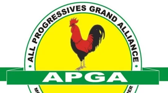 Thisdaylive Newspaper-APGA.jpg Thisdaylive Newspaper-APGA.jpg