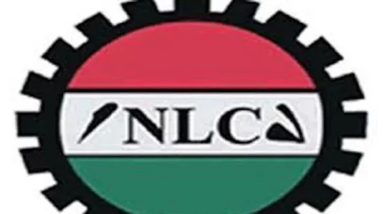 Thisdaylive Newspaper-Nigeria Labour Congress.jpeg Thisdaylive Newspaper-Nigeria Labour Congress.jpeg