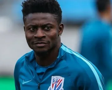 martins.JPG martins.JPG