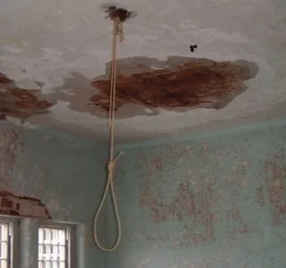 hanging.JPG hanging.JPG