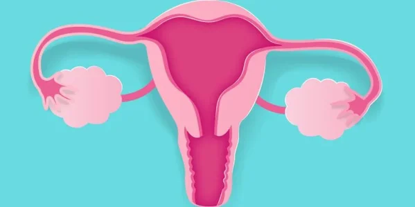Ovarian Cancer.jpg Ovarian Cancer.jpg