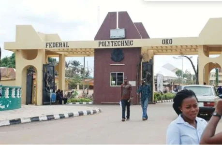 Pulse.ng News-Federal University Oko.JPG Pulse.ng News-Federal University Oko.JPG