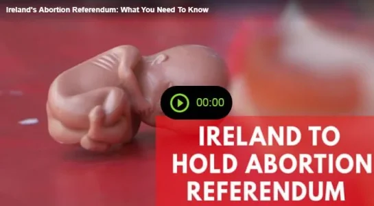 abortion.JPG abortion.JPG