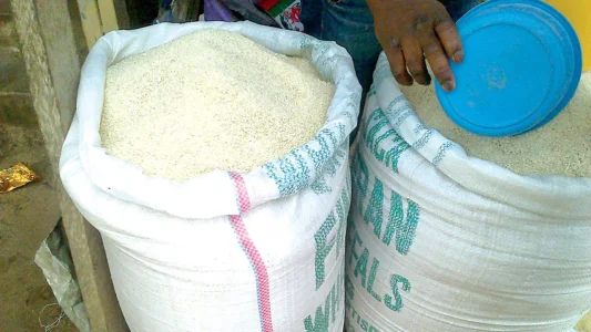 The Guardian Newspaper-Garri.jpg The Guardian Newspaper-Garri.jpg