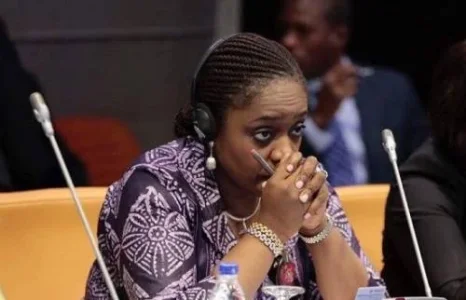 Sahara Reporters-Kemi Adeosun.jpg Sahara Reporters-Kemi Adeosun.jpg