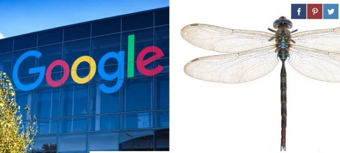 google.JPG google.JPG