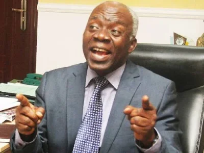 Sahara Reporters-Femi Falana.jpg Sahara Reporters-Femi Falana.jpg