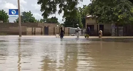 channel Television-Jigawa-flood-2.jpg channel Television-Jigawa-flood-2.jpg