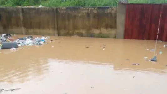 Premium Times Newspaper-Flood.jpg Premium Times Newspaper-Flood.jpg