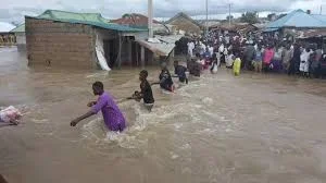flood.jpg flood.jpg